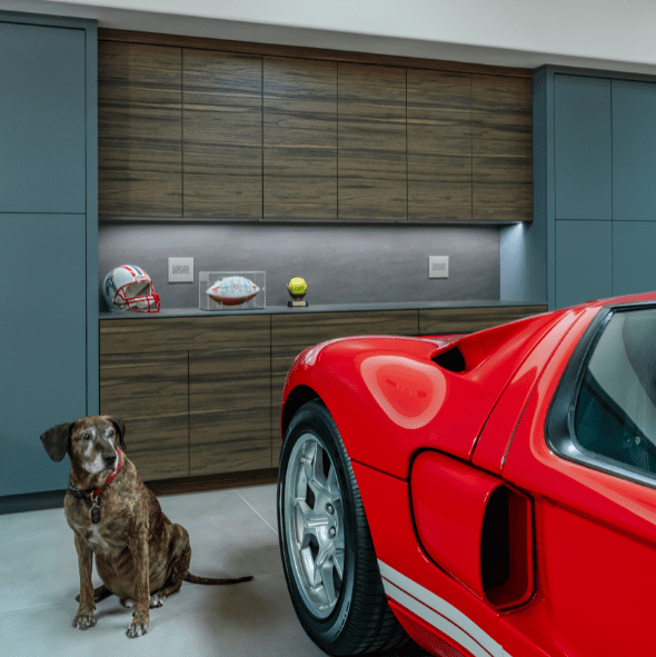 A red sports car is parked indoors near a brown dog, with sports memorabilia including helmets and a football displayed on shelves in the background.
