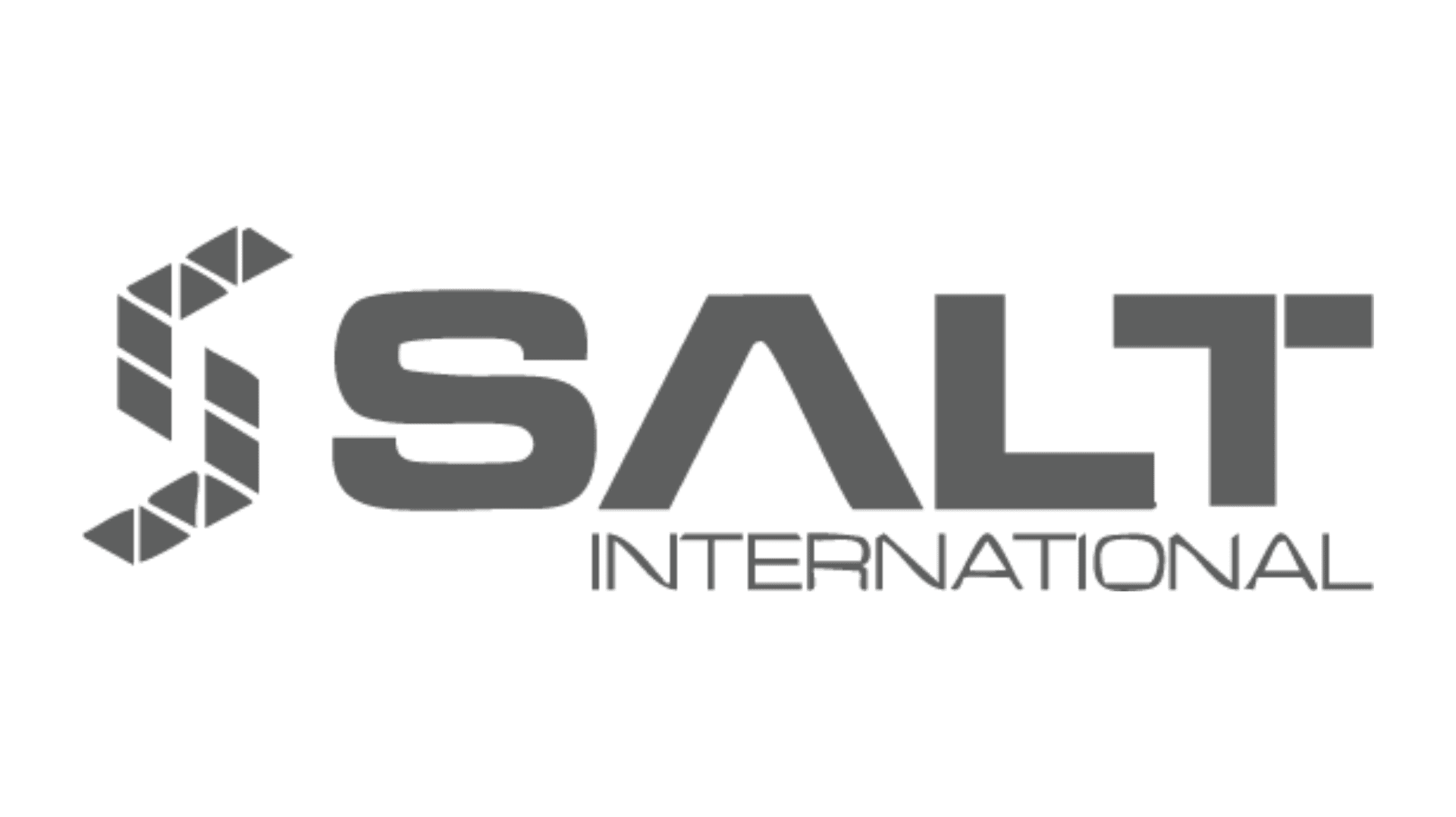 Logo for SALT International featuring a stylized "S" design on the left and the words "SALT INTERNATIONAL" in bold, modern font on the right.